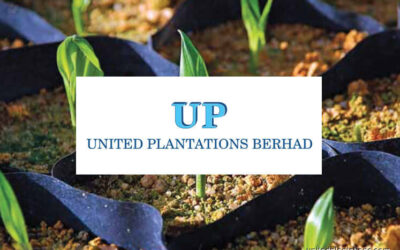 united-plantations_20200224110559_unitedplantations.com_